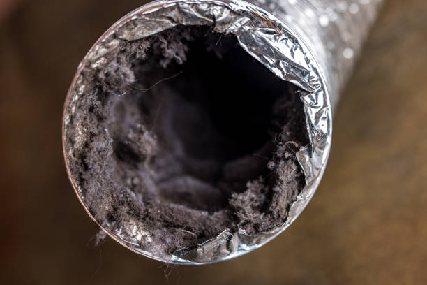 Air Duct Mold Removal in Westwood Lakes, FL