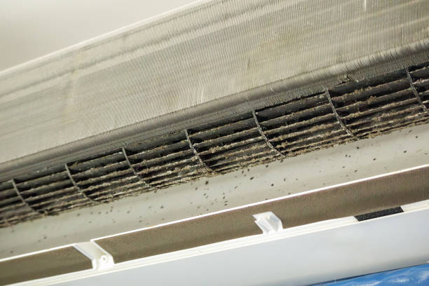 Best Affordable HVAC Duct Cleaning  in Westwood Lakes, FL