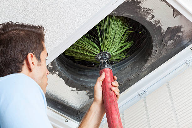 Best Air Quality Test  in Westwood Lakes, FL