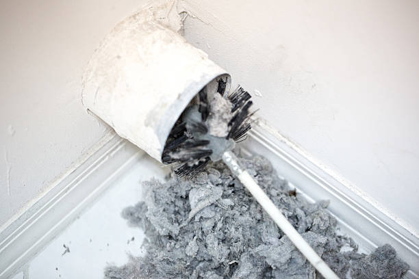 Best Local Air Duct Cleaning Services  in Westwood Lakes, FL